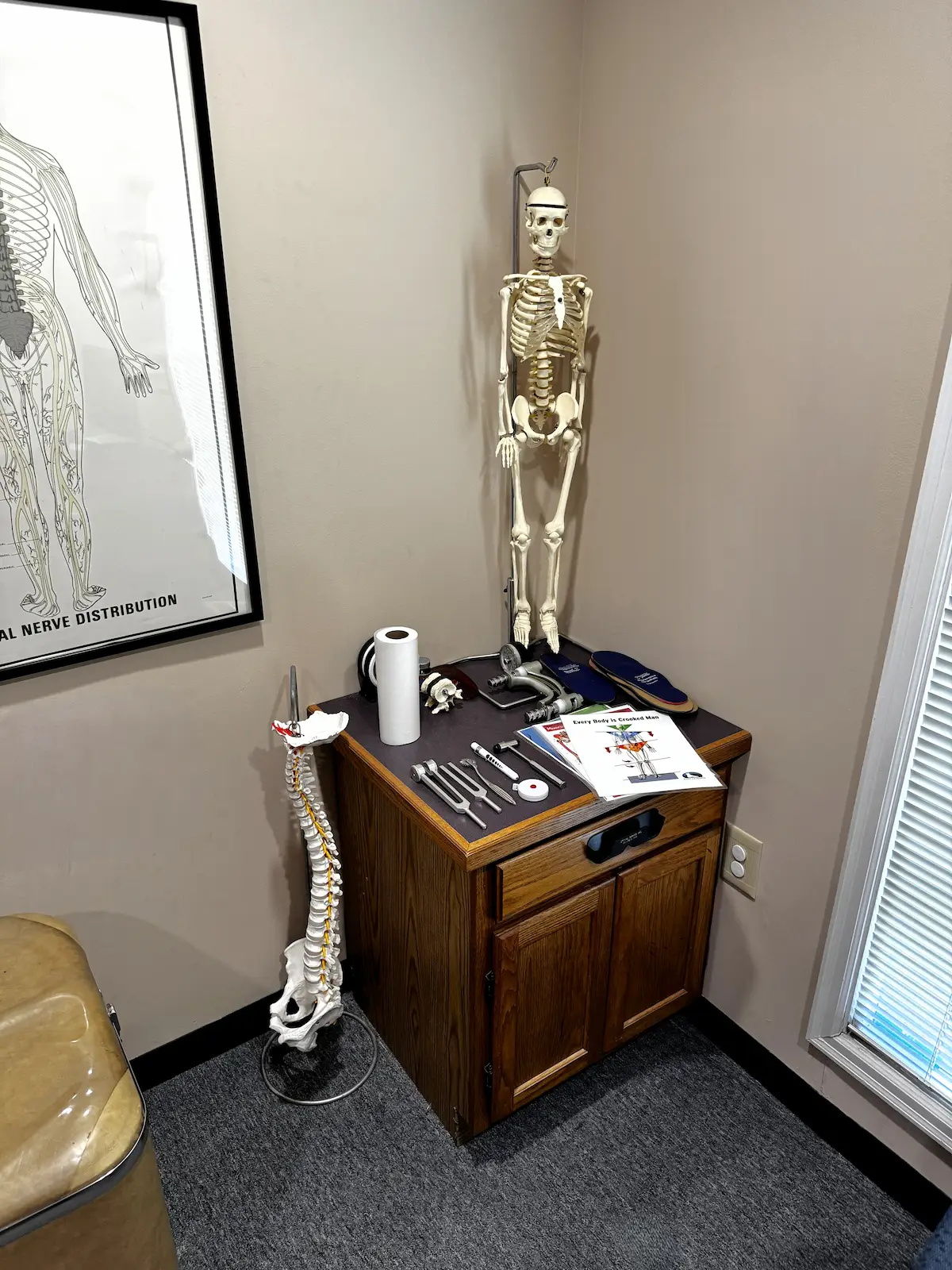 A chiropractic office corner with a standing skeleton model, a spine model, an anatomical chart, and various tools on a wooden cabinet.